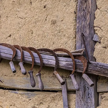 Dabravata